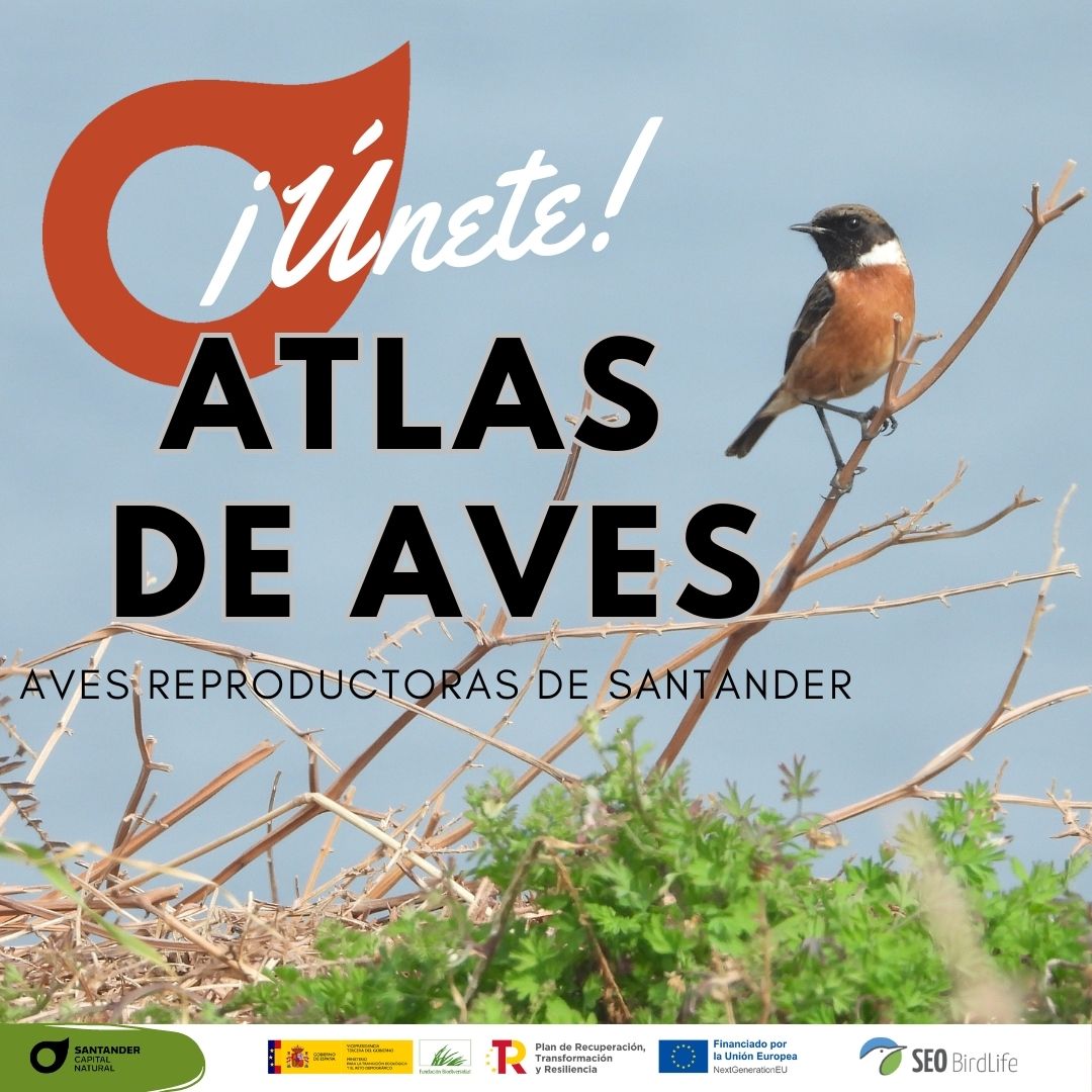 Santander Capital Natural tweet media