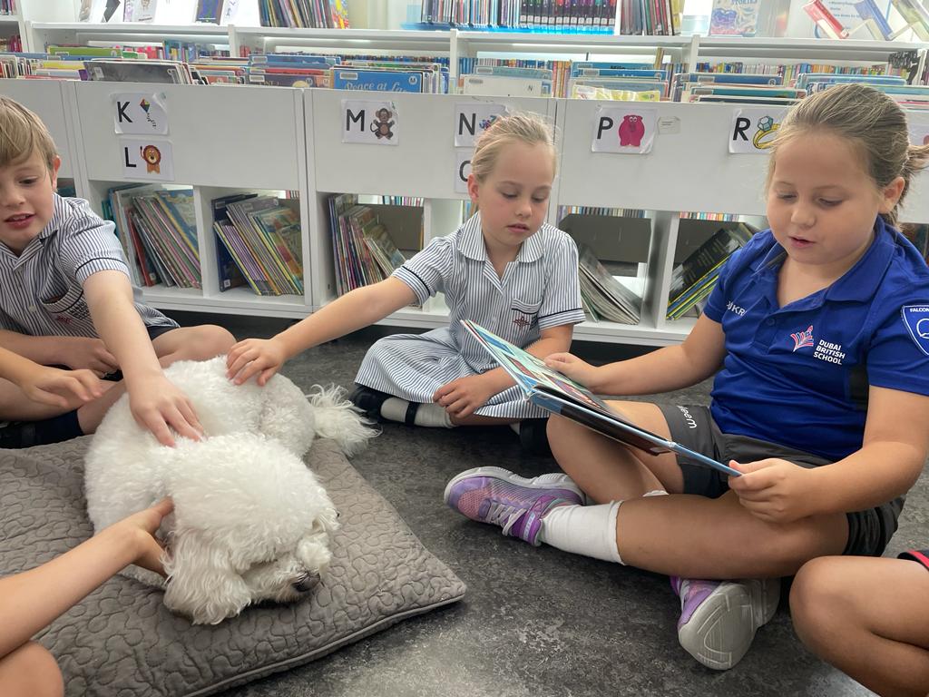 DBS_Year3's tweet photo. Year 3 had a wonderful wellbeing visit from Marshall, the reading dog. They enjoyed sharing stories with Marshall, who listened attentively to their beautiful reading. What a 'paw'-some morning was had by all. @DubaiBritishEH @Taaleem #BeginsatDBSEH #ProudlyTaaleem https://t.co/rHmL5rKRkn