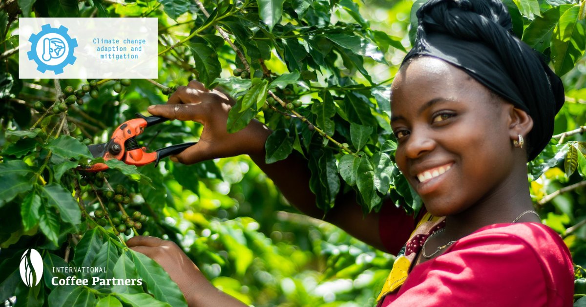 Creating a climate-smart future for coffee farming families and the coffee industry is one of the goals of our work. 🌏 Our activities here are covered by the initiative for coffee&amp;climate whose techniques have already been implemented in 103,000 coffee farming households.