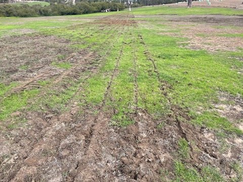 Sumo GLS, 2 in stock. 1 ex demo. For your low disturbance needs and to get that grass to grow this machine is awesome.