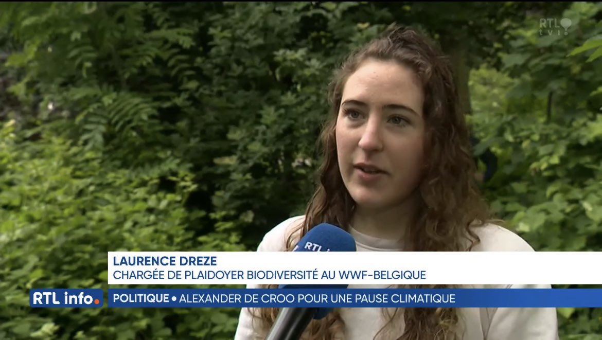 Il faut traiter les crises du #climat et de la #biodiversité simultanément: "Ce que le premier ministre dit va à l'encontre de ce que la science dit depuis des années", dit <a href="/lau_drz/">Laurence Drèze</a>, chargée de plaidoyer biodiversité au <a href="/WWF_Belgique/">WWF-Belgique</a> à <a href="/rtlinfo/">RTL info</a>👇
📺rtl.be/page-videos/be…