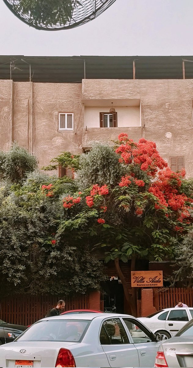 المعادي❤️🥀