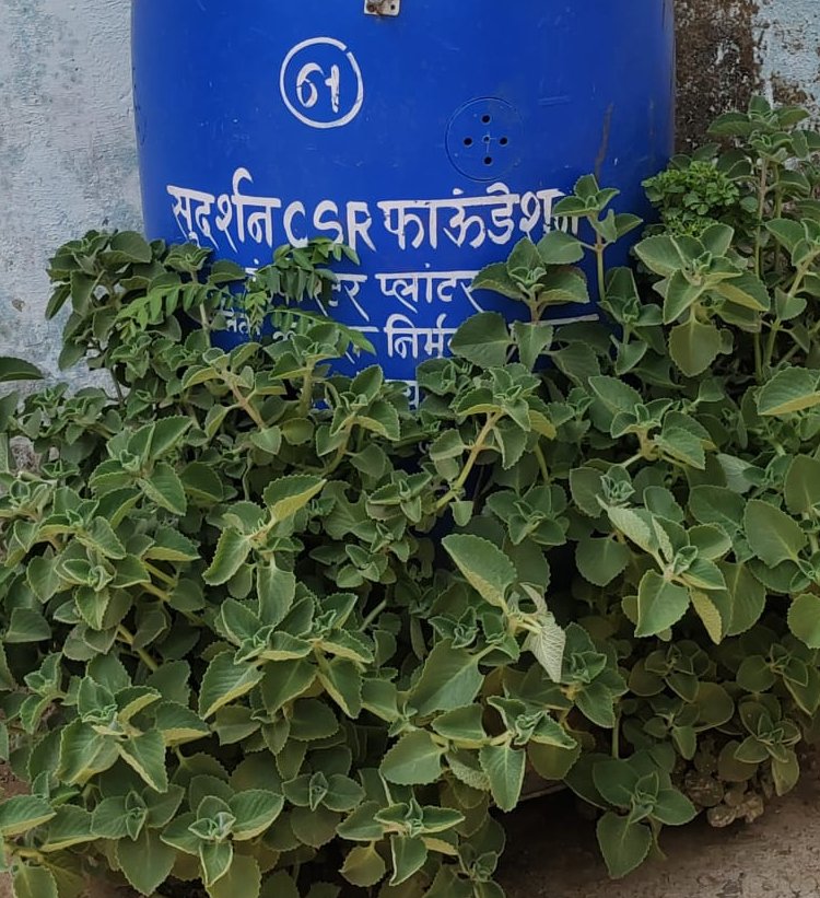 INORA (Know How Foundation) tweet media