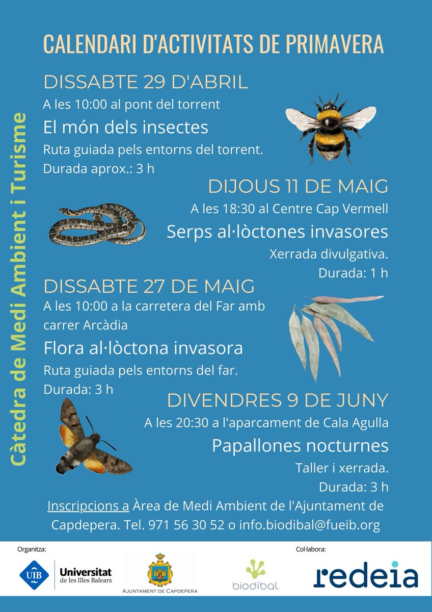 Recordau que dissabte hi ha nova activitat en el marc de la Càtedra de Medi Ambient i Turisme de @ajcapdepera i la @UIBuniversitat: visita guiada en els entorns del far de Capdepera per a conèixer les espècies de flora al·lòctona invasora. Encara hi ha places! #Capdepera