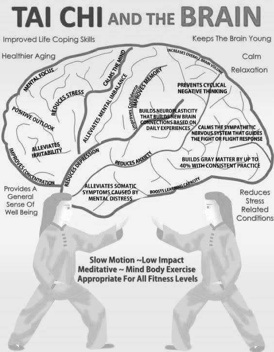 moifa_sifu's tweet photo. It's a great feeling, getting lost in you tai chi form. Have you tried this moving meditation practice? #taichi #yoga #movement #meditation #stress #anxiety #balance #breathing #mindful #mentalhealth #martialarts #taiji #qigong #loureed #yangstyle #chenstyle https://t.co/OSwvcg1eV9