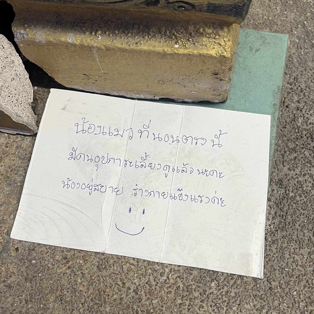 ปกติทางกลับบ้านชั้นจะผ่านแมวตัวนึง มันนอนตรงนี้ประจำ แวะเล่นบ่อยๆ แต่วันนี้หาไม่เจอ เจอแต่กระดาษวางไว้ แงงง ได้บ้านแล้วเจ้าเหมียววว 😭