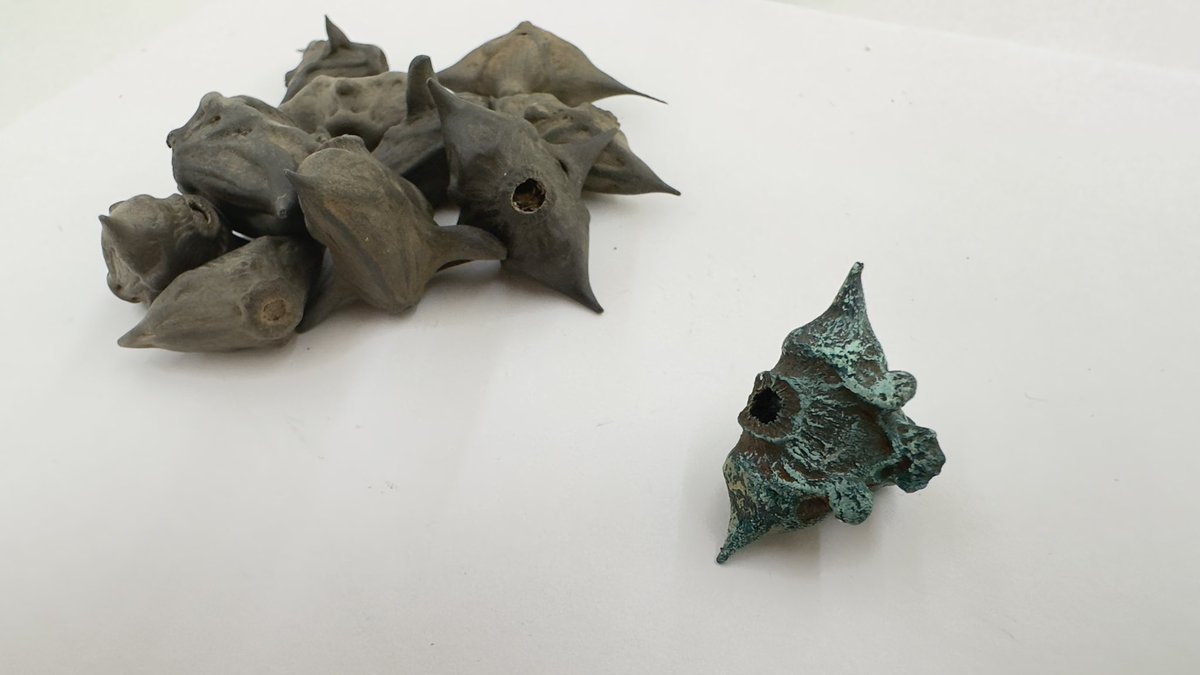 滋賀県の琵琶湖でゼルダに出てきそうな「ヒシの実」という実を拾ったので、アクリルガッシュで塗装してみました。
#ゼルダ  #zelda  #ティアーズオブザキングダム  #TEARSOFTHEKINGDOM  #ゼルダの伝説  #滋賀県 #琵琶湖 #ビワイチ