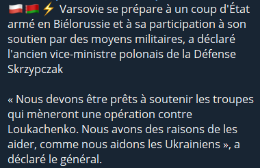 CharlottedeFr's tweet photo. 🇧🇾🇵🇱 - Les dingos polonais sont prêts, par le jeu des alliances comme lors de la première guerre mondiale, à nous mener à la Troisième Guerre Mondiale. Si la Pologne intervient en Bielorussie il conviendra donc de regarder la Russie détruire la Pologne sans bouger un cil ! https://t.co/jHotRbRg7m