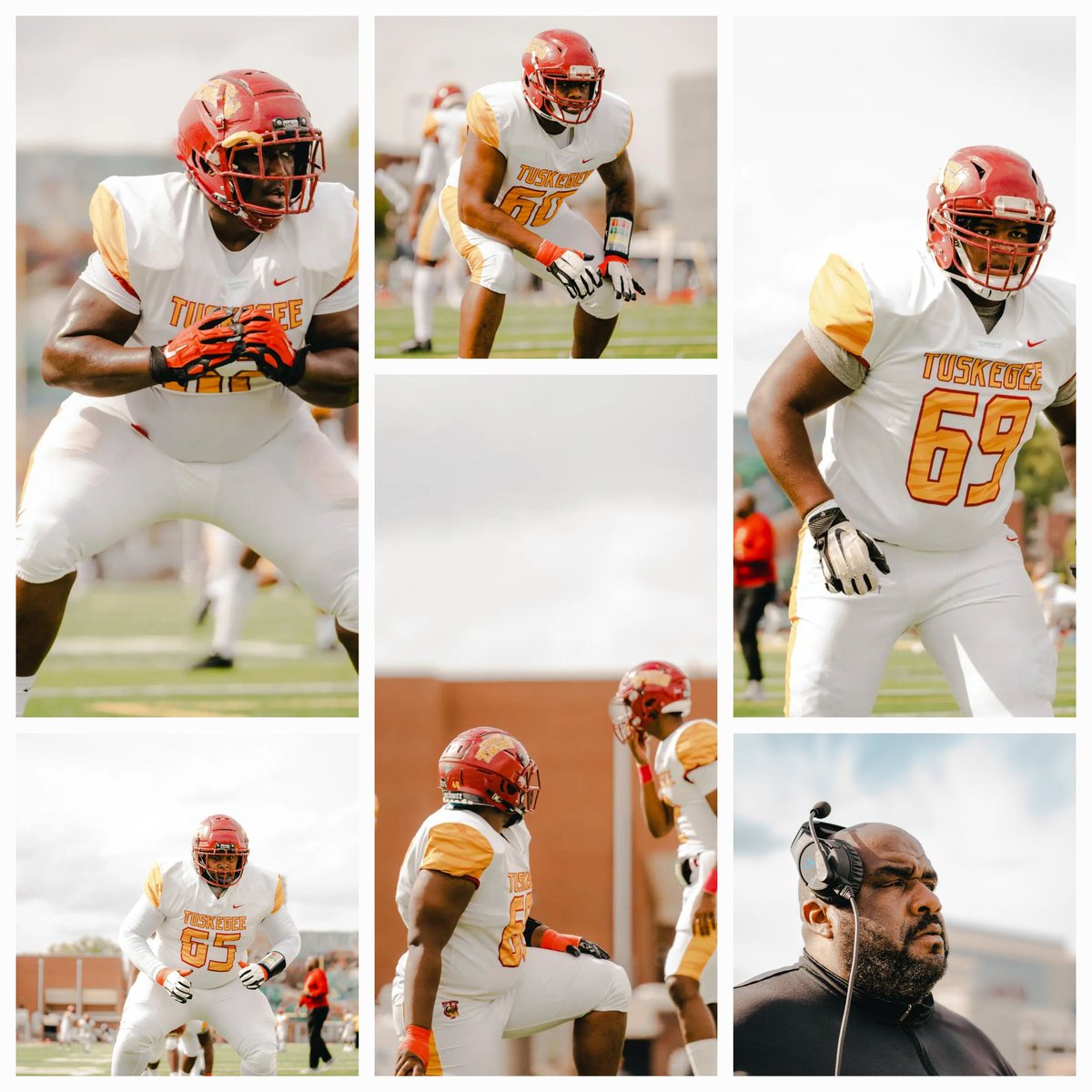 Fred ELLIS tweet media