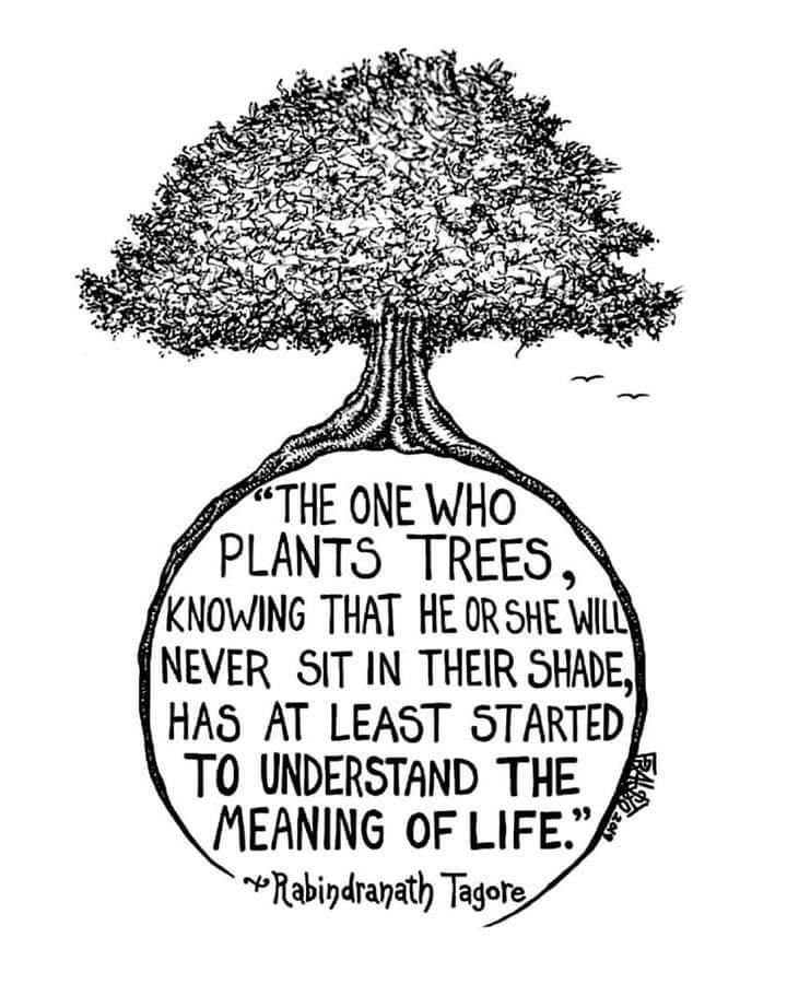 This is why we must be patient with students. Everything takes time! 🙌