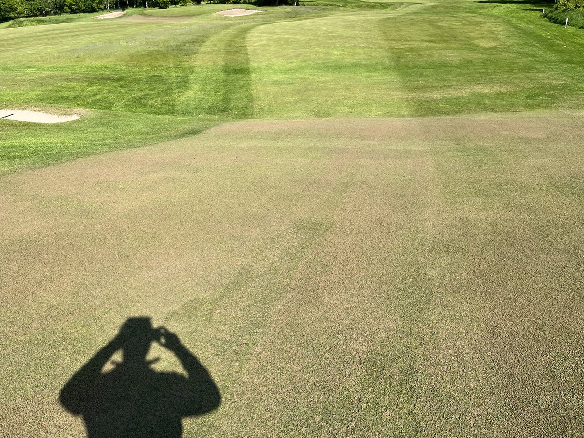 azzabazza86's tweet photo. Aprons receiving a light dress to keep moving them forward, followed with a brush @ReddishValeGC @RVGCgreens 😎😎😎 https://t.co/zZBvX9kE16