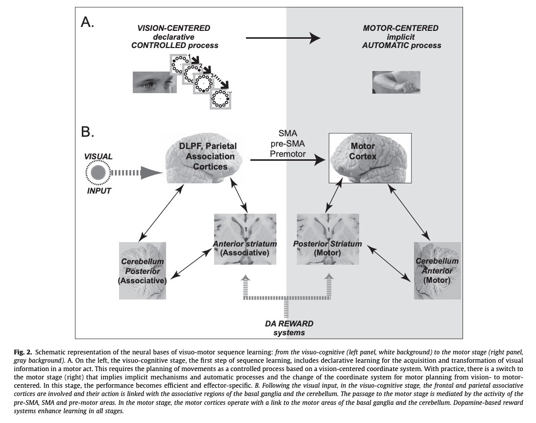 ClinicalNeuroph's tweet photo. [Parkinson's disease (PD)] Marinelli et al.: “A thorough dissection and understanding of the processes involved in motor learning is warranted to provide solid bases for effective medical, surgical and rehabilitative approaches in PD.”

https://t.co/FEhxbnhd1a
#ClinicalNeuroph https://t.co/p4aqOqTFL6