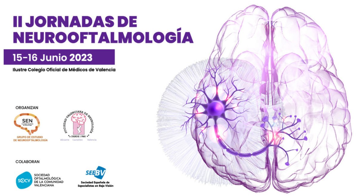 Os recordamos que el próximo 15 de junio empiezan las II Jornadas de Neurooftalmoliga en Valencia. ¡No te las pierdas! jornadaneurooftalmologia.com/home #bajavision #laseebvsemueve #muchomasquebajavision #optometria