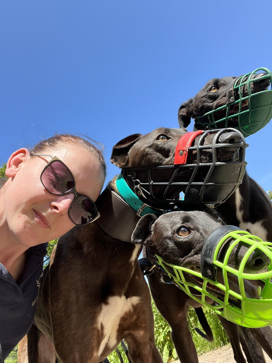 adachikennels's tweet photo. Loving the sunshine today! Nothing better than getting out with these guys πΎπΎ
#BrinkleysGinger #EllieChoice #AdachiMaid https://t.co/noLiXZb1ko