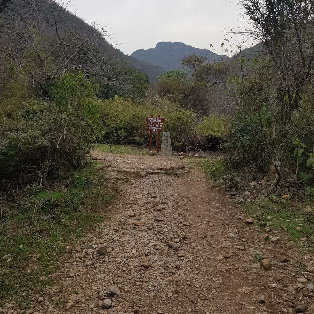 ayleeshaan's tweet photo. Sight is about what lies right in front of us. Vision is what lies ahead.
#WalkDiaries https://t.co/hwZ9xrGNpk