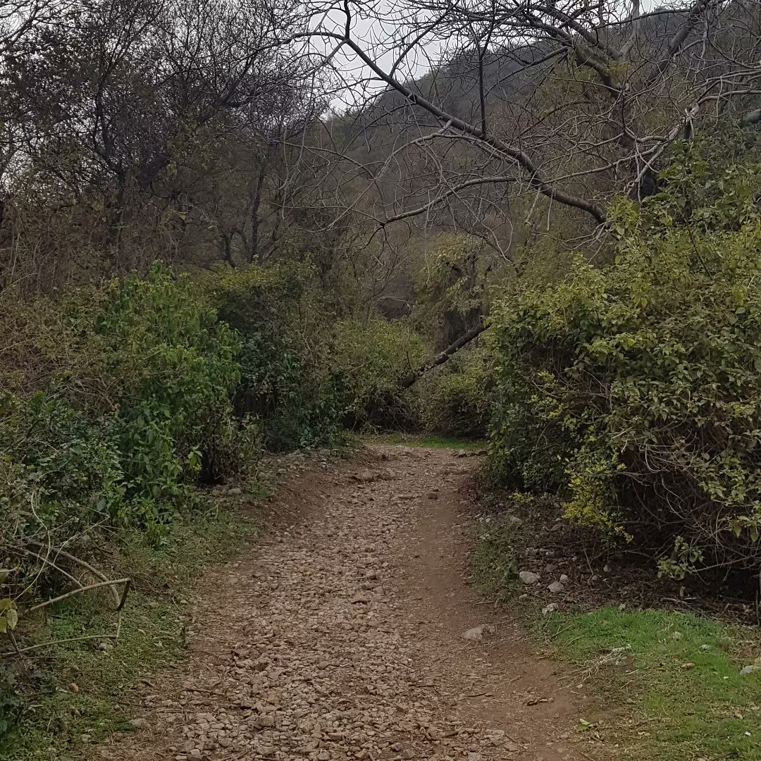 ayleeshaan's tweet photo. Sight is about what lies right in front of us. Vision is what lies ahead.
#WalkDiaries https://t.co/hwZ9xrGNpk