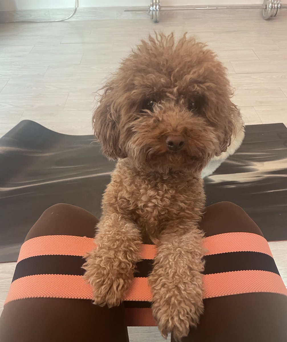 cupcaken86's tweet photo. Don’t put a governor to your physical, mental, and emotional health. Get ahead to #GetStackt 💪🏽 💰 🧠 #ProofIfGym https://t.co/T23aN9KfE8