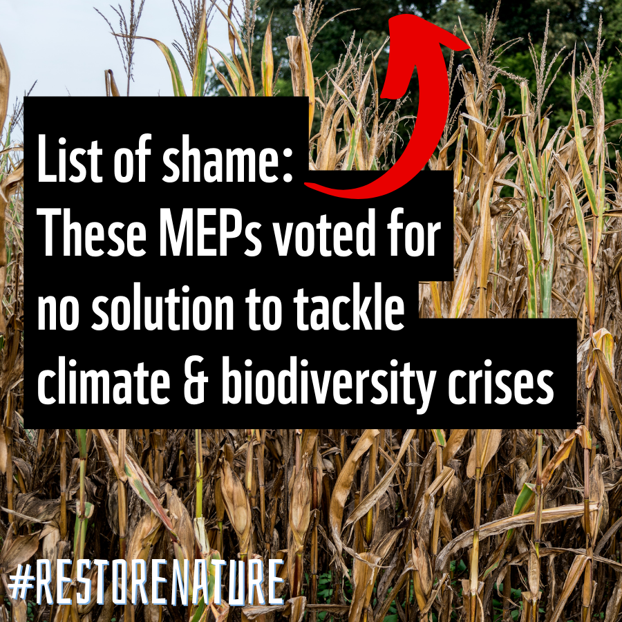 WWF EU (@wwfeu) on Twitter photo When we all suffer the consequences of collapsing ecosystems, you can thank these MEPs who rejected the #RestoreNature law in the AGRI Committee:
Álvaro Amaro <a href="/alvaroamaroEU/">Álvaro Amaro</a>
Franc Bogovič <a href="/Franc_Bogovic/">Franc Bogovič</a>
Daniel Buda <a href="/MEPDanielBuda/">Daniel Buda</a>
Salvatore De Meo <a href="/salv_de_meo/">Salvatore De Meo</a>
Herbert Dorfmann When we all suffer the consequences of collapsing ecosystems, you can thank these MEPs who rejected the #RestoreNature law in the AGRI Committee:
Álvaro Amaro <a href="/alvaroamaroEU/">Álvaro Amaro</a>
Franc Bogovič <a href="/Franc_Bogovic/">Franc Bogovič</a>
Daniel Buda <a href="/MEPDanielBuda/">Daniel Buda</a>
Salvatore De Meo <a href="/salv_de_meo/">Salvatore De Meo</a>
Herbert Dorfmann