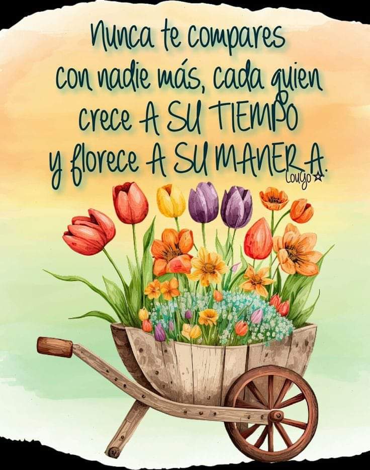 Cada cual sigue su ruta! 🌹🦋🌟