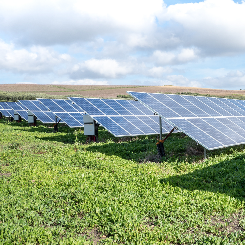 nationalgriduk's tweet photo. 🌞⏫ As of right now, #SolarEnergy is contributing over a quarter of the electricity on the grid!

🤔 But did you know there's more than one kind of solar panel?

⚡📱 Click below to get our free #WhenToPlugIn app and learn more about where the electricity you use comes from 👇