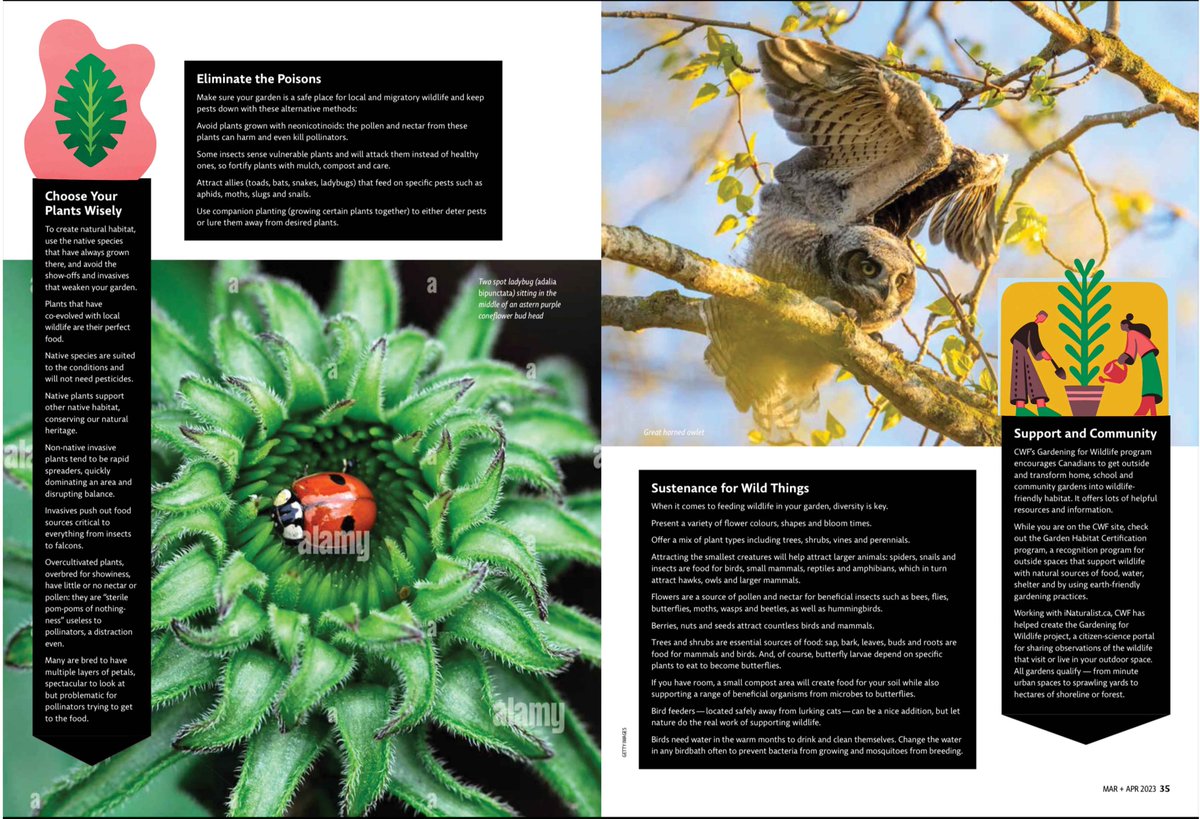 Chanelle Nibbelink tweet media