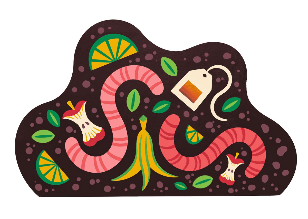 Chanelle Nibbelink tweet media