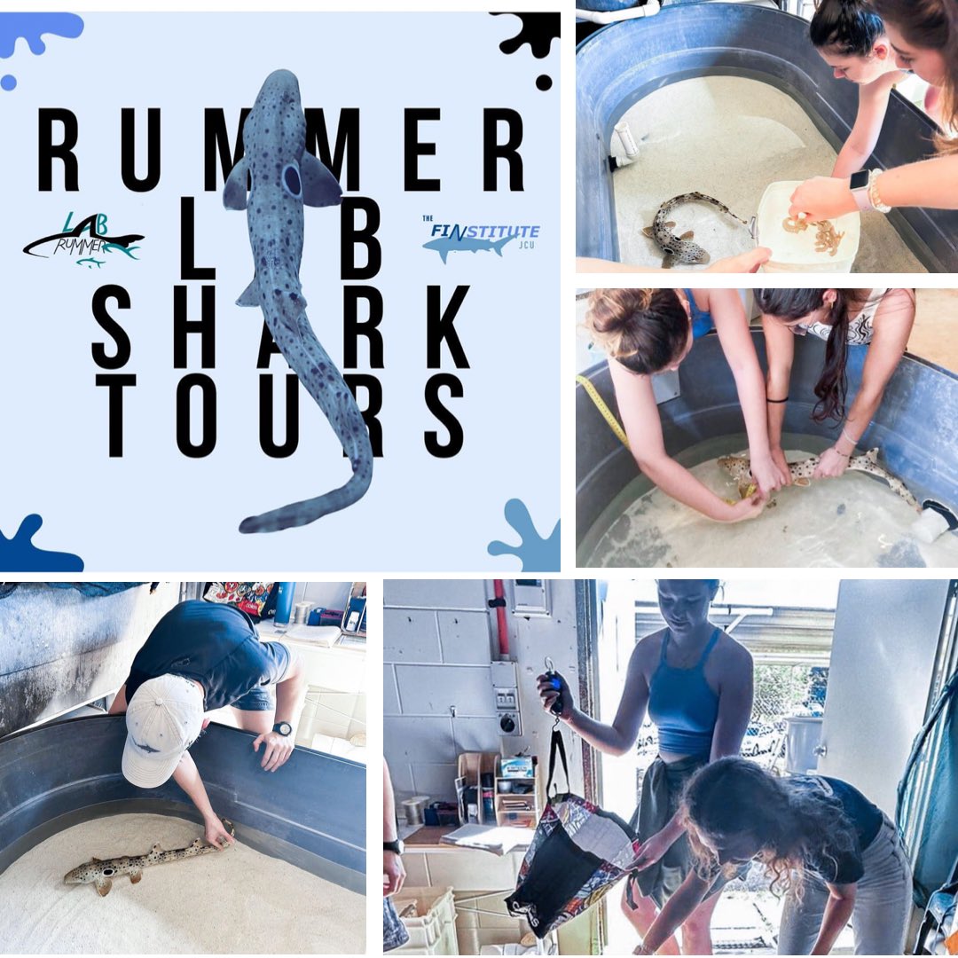 Unforgettable Experiences at the Rummer Lab 🦈

We strongly encourage you to sign up for a chance to join this engaging and knowledge-filled tour.

See the link in our bio to sign up!

#shark #rummerlab #JamesCookUniveristy #labtours #epualette