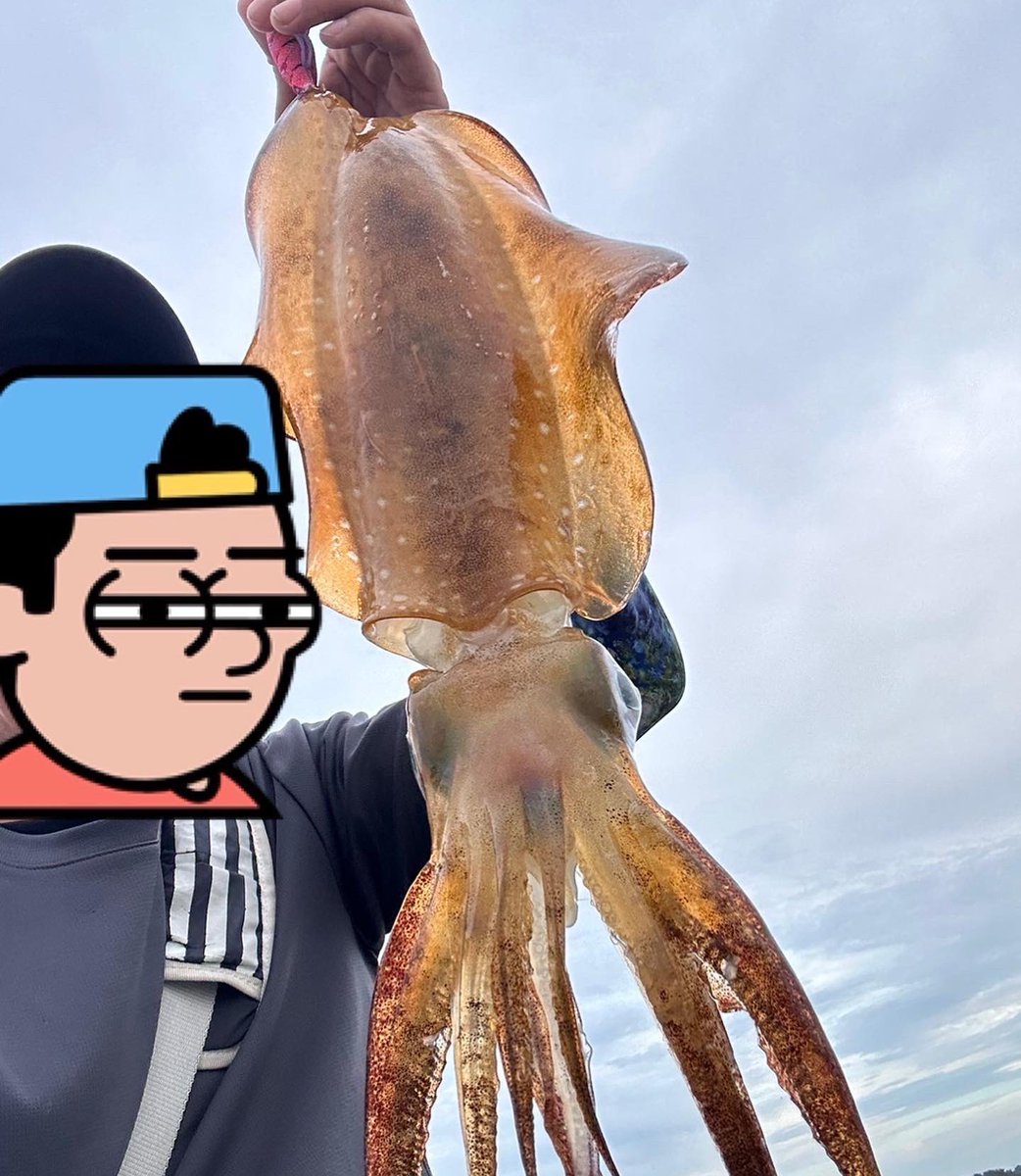 RAyuilxa's tweet photo. 今日はアオリイカ2杯またやっちゃいました🎣🫰🏻 https://t.co/lDvCNcZle0