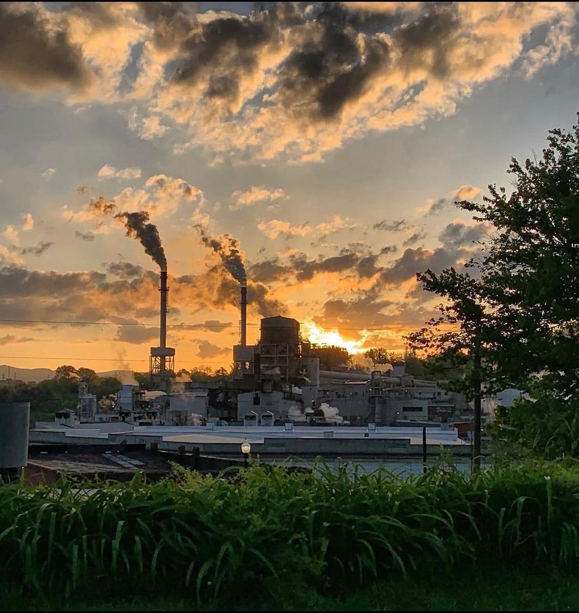 This aint just another papertown, it's part of who I am
Molded me as a little boy so I could be a better man
From the mountains and the farmlands
Round the smokestack she has grown
This aint just another papertown, its the one that I call home 

#milltownforever #farewellmyfriend