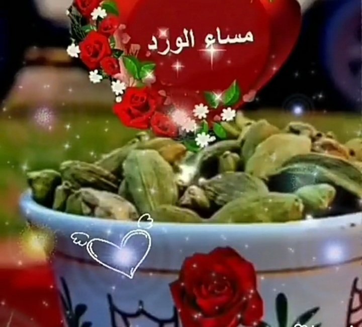 @hafa_malika @bdalwly_mhmd @JihaneKhoudja @U4h9BdtnyzT05JL @GaberEmira @77sanhan @SidAhma32406135 @Alaa_442277 @qsaasots332 @Salah0100Abdou @ambdall06707116 @OmKhale20539731 @LVYdkXNbBewlYRl @0SMvK0rqCM1wvGk @tamerhammad70 @nona_flla @AliHals @GaweishA @8Ue5vbFp2a7vlfs @said_khalied @Imran262906 @53xKUxFVY6F3DbH @al3yasheee @Lahnamal @awadahmed8888 @GN30jZWPnG6jLzm @KedrWageh @BouthaynaBouth4 @aboshthaaa @ali123456789900 @fawzia89826408 @Luigina__16 @omer_russ @aalsalm182 @Nour38835944 @oAfekw3xj1iasOO @VPYbzaukgZTmDtW @IRAQIFOREVER10 @vFWWb9nixhDUPnk @DgITVyAQ00WHKeK @mhmdmhm35954429 @EhueNgYbGXFvzxN @ahmad_amla @1968Doo7