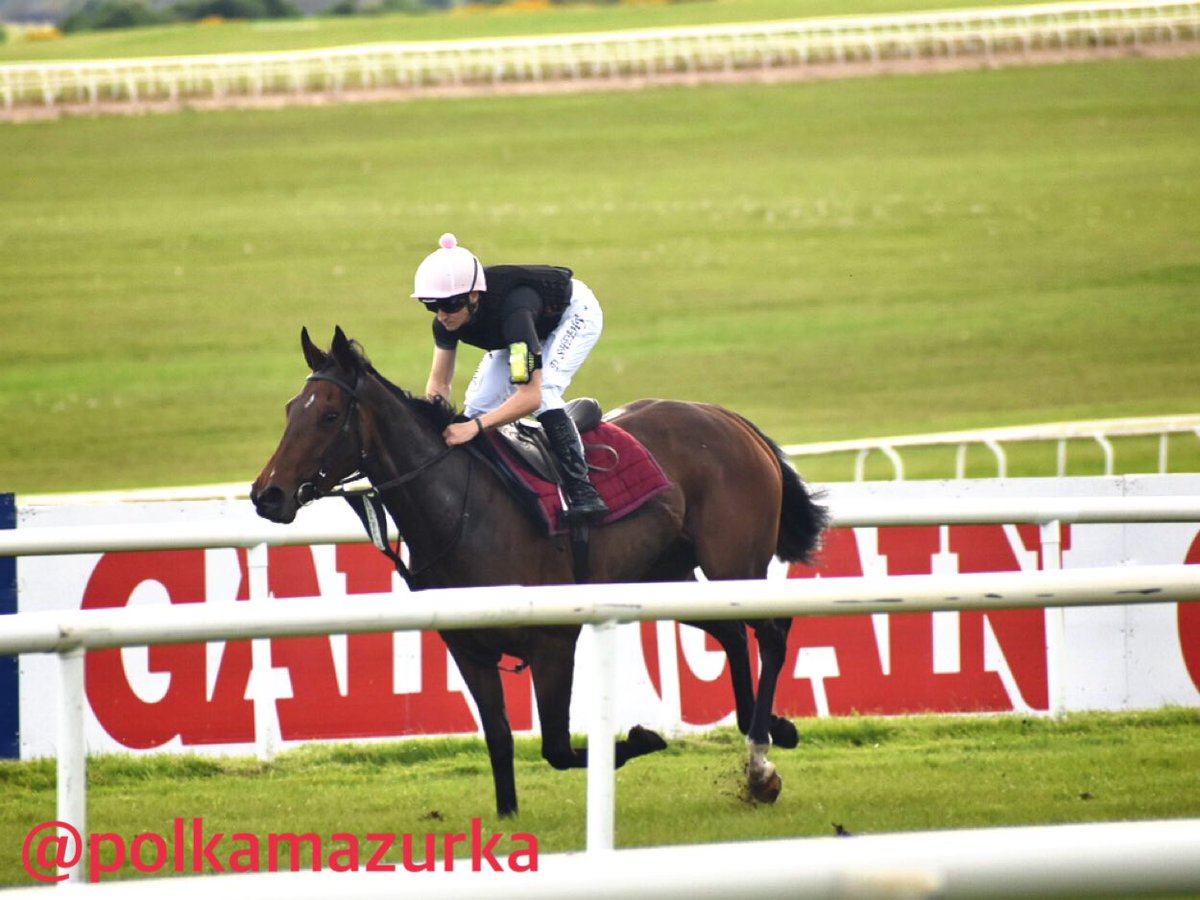 At Curragh
<a href="/HughHorgan/">Hugh Horgan</a> <a href="/dannysheehy99/">Danny Sheehy</a> 
@Josephobrienfa1
