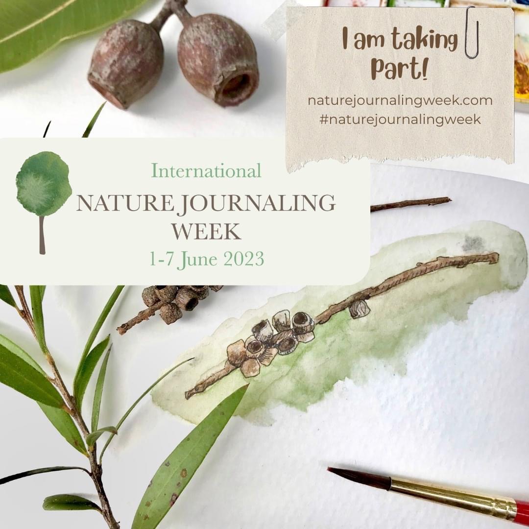 June 1 - 7 is International Nature Journaling Week 2023!

The theme is: “Sensory Safari”

🎨Color
🐈Texture
🌹Aroma
🎶Song
🧁Flavor
💃Movement
❤️Heart

A great way to foster observation skills through #ExplorerMindset!

naturejournalingweek.com/signup

<a href="/amays_bwfund/">Alfred M. Mays</a> #bwfcast <a href="/ali_pressel/">Ali Pressel 🗺</a>