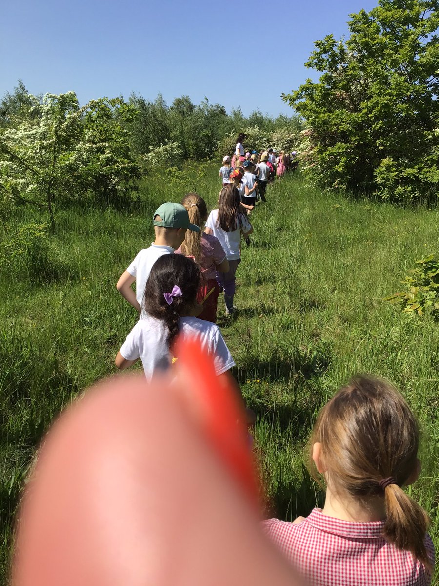 MrsH HLTA@DPS tweet media