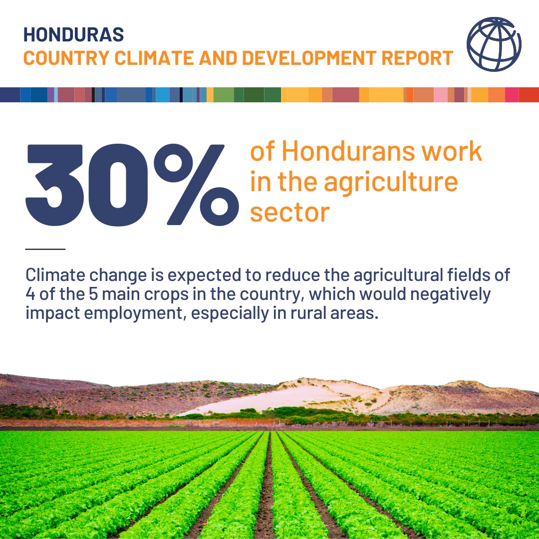Did you know 4 out of 5 families depend on agriculture in #Honduras ? Yet, it is also one of the most vulnerable sectors to #ClimateChange . How can the country prepare to protect people living in poverty? Discover this in a new report: openknowledge.worldbank.org/entities/publi…