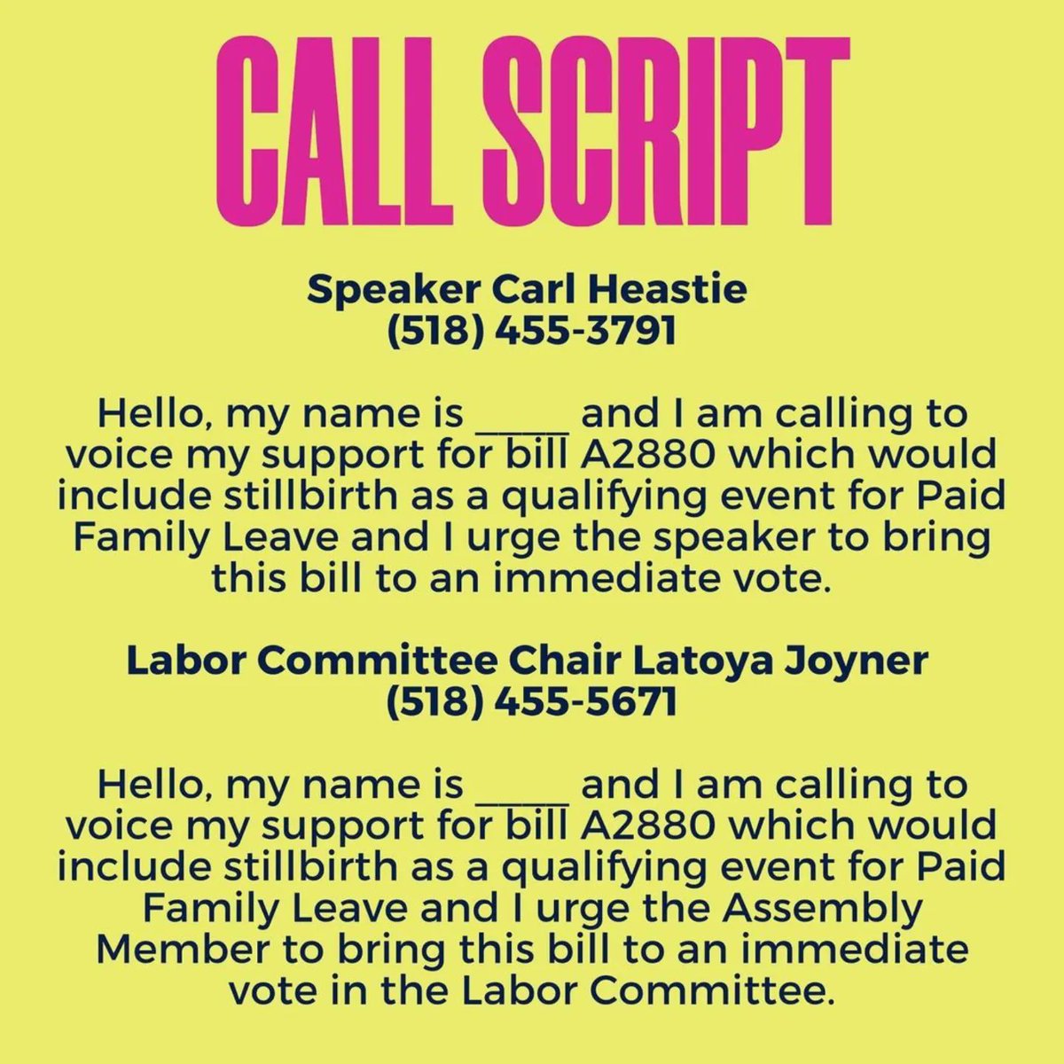 #StillbirthIsStillBIRTH - #Stillbirth moms deserve the right to heal their bodies just like any other parent. It's time to close this cruel loophole in NY's #PaidFamilyLeave law!

You can help: just 2 phone calls & 1 tweet is all it takes! See graphics for details. #unitedwepush