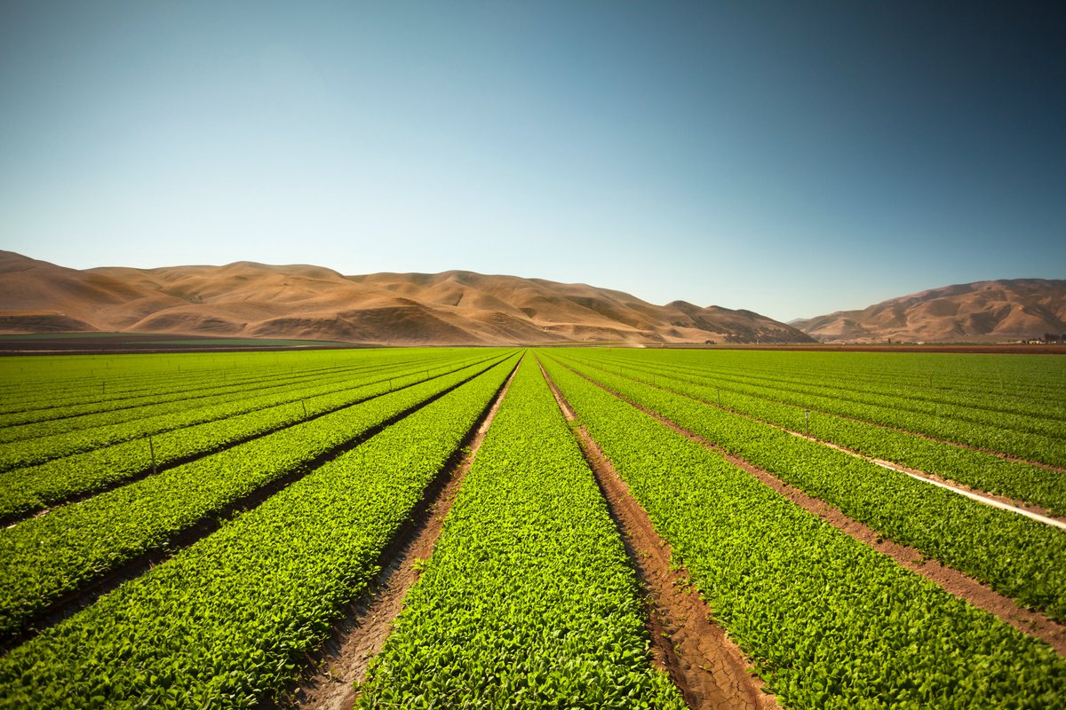 👏Shout-out to @worldfarmersorg for such an inspiring General Assembly!

🌿And great to hear about the potential of solutions such as #regenerativeagriculture in increasing productivity, reducing emissions & enhancing biodiversity.

@JBarbaron @CropLifeAME @CropLifeSA 
#WFOGA2023