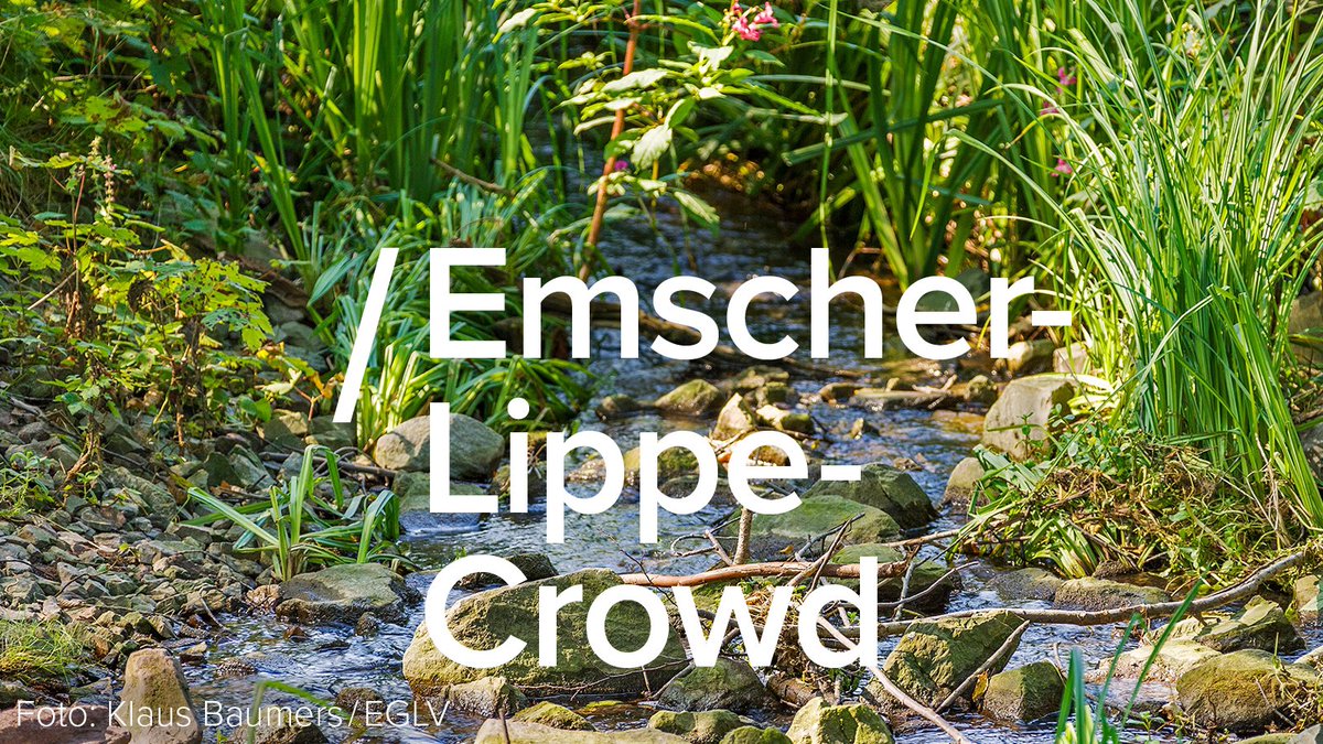 Ihr wollt etwas für die #Region tun? Unsere #Crowdfunding-Plattform hilft euch, möglichst viele Unterstützer*innen für eure #nachhaltig|en Projekte zu gewinnen. Wir fördern eure Idee, wenn diese einen #Wasser- oder #Natur|bezug hat. Mehr Infos: emscher-lippe-crowd.de