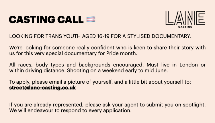 LANE Casting CDA tweet media