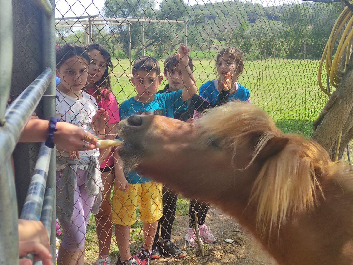 manyanetblanes's tweet photo. Que bé que ens ho vam passar de #colònies a @colonies_ocell 🤗#2nEP #josocmanyanet #juntsarribemméslluny https://t.co/Bpm1tJ2Vty