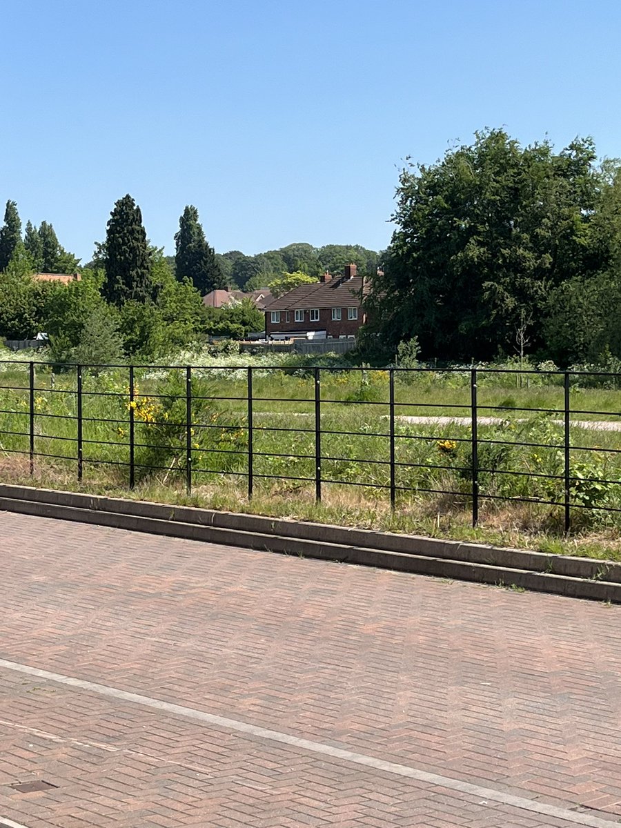 Councillor Jilly Bermingham on Twitter "Morning spent delivering