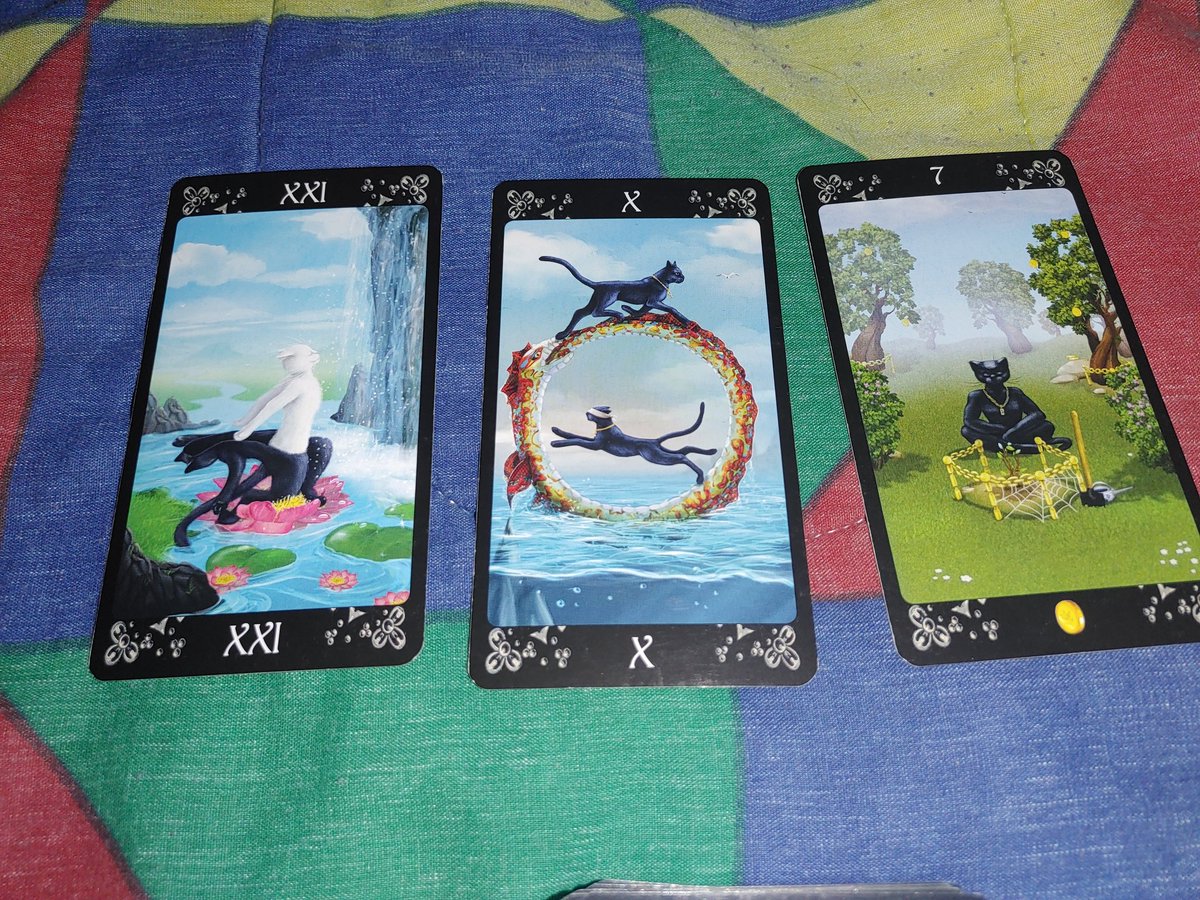 tigerlex333's tweet image. What is today&apos;s focus? 05/24/23

A time to show off your changes is here and it pays off with you loving the new you!

#timetoshowoff #newchanges #hereandnow #lovingyou