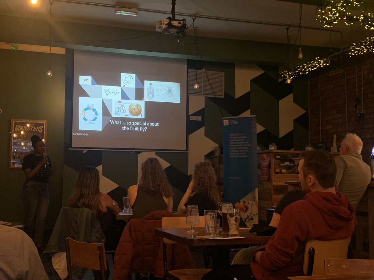 emilyrosech's tweet photo. Well done @JenOgbets on your fantastic #pint23 talk last night! Super cool work on the use of flies in neuroscience 🪰🧠 https://t.co/Z7km0u3cYa
