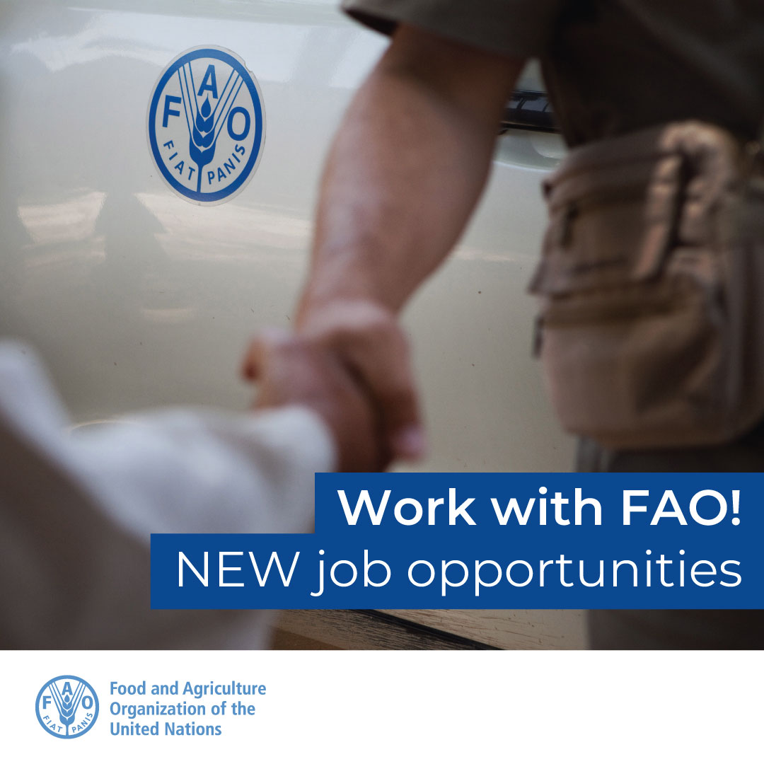 📢 Last call!

@FAO is hiring a Livestock Bio-Economist to join the Livestock Policy Lab at FAO HQ!

📅 Deadline: 31 May
📌 Location: Rome, Italy
➡️ bit.ly/41KEsul

#ApplyNow #UNJobs #JobOp