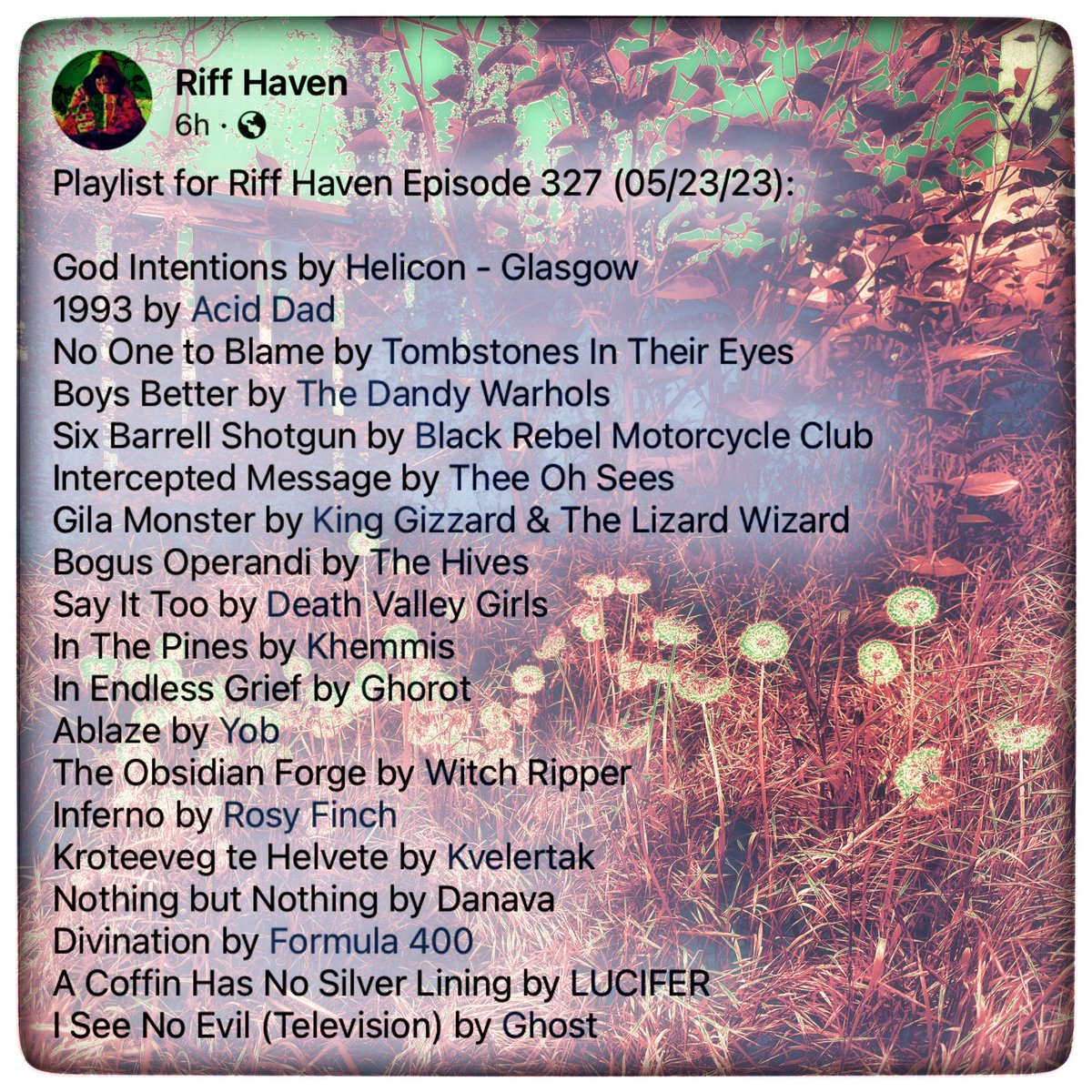 RiffHaven's tweet photo. #RiffHaven #RadioBoise #Helicon #AcidDad #TombstonesinTheirEyes #TheDandyWarhols #BRMC #Osees #KingGizzard #TheHives #DeathValleyGirls #Khemmis #Ghorot #YOB #WitchRipper #RosyFinch #Kvelertak #Danava #Formula400 #Lucifer #Ghost https://t.co/6aU36WzXTA