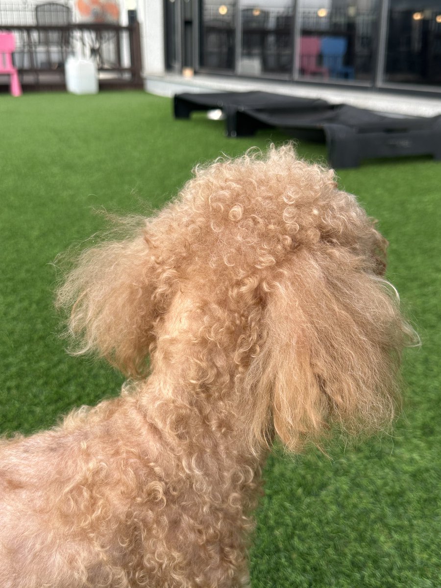 오성민 tweet media