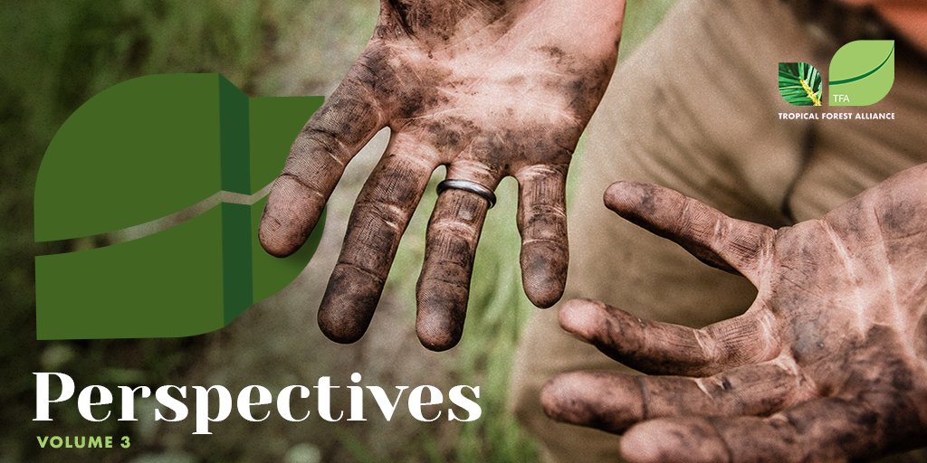 Issue 3 of TFA Perspectives has launched today.

This publication features a wide range of voices and perspectives from the Global South.

Discover it here: bit.ly/45d0pFg

#TFAPerspectives #supplychains #commodities #traceability #transparency #deforestation #forests