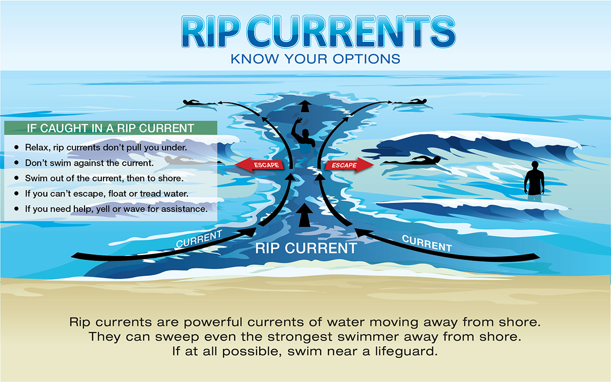 🌴Planning a beach trip soon?

☀️Despite the sunny skies, there will be some days that you will want to stay out of the water due to #RipCurrents.

🌊 What you need to know BEFORE you head to the beach: weather.gov/tae/ripcurrent….

🦩 Be #BeachSmart when visiting the beach!