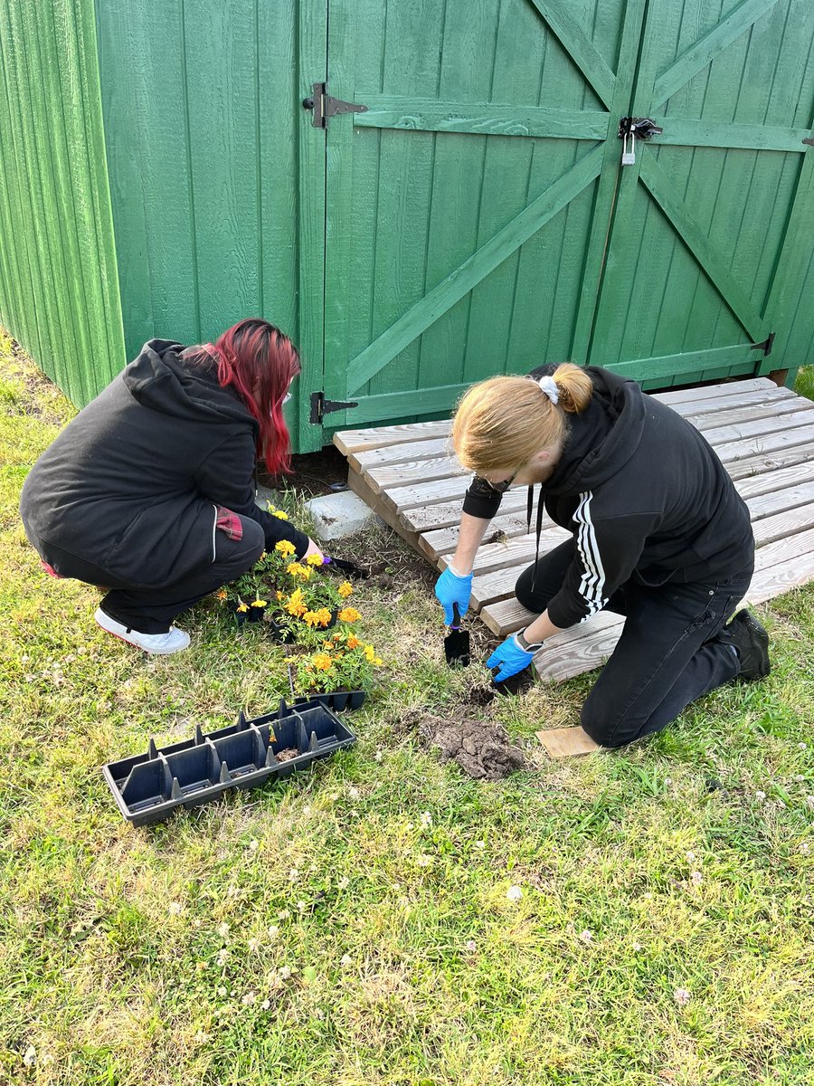 Debby Briscoe tweet media