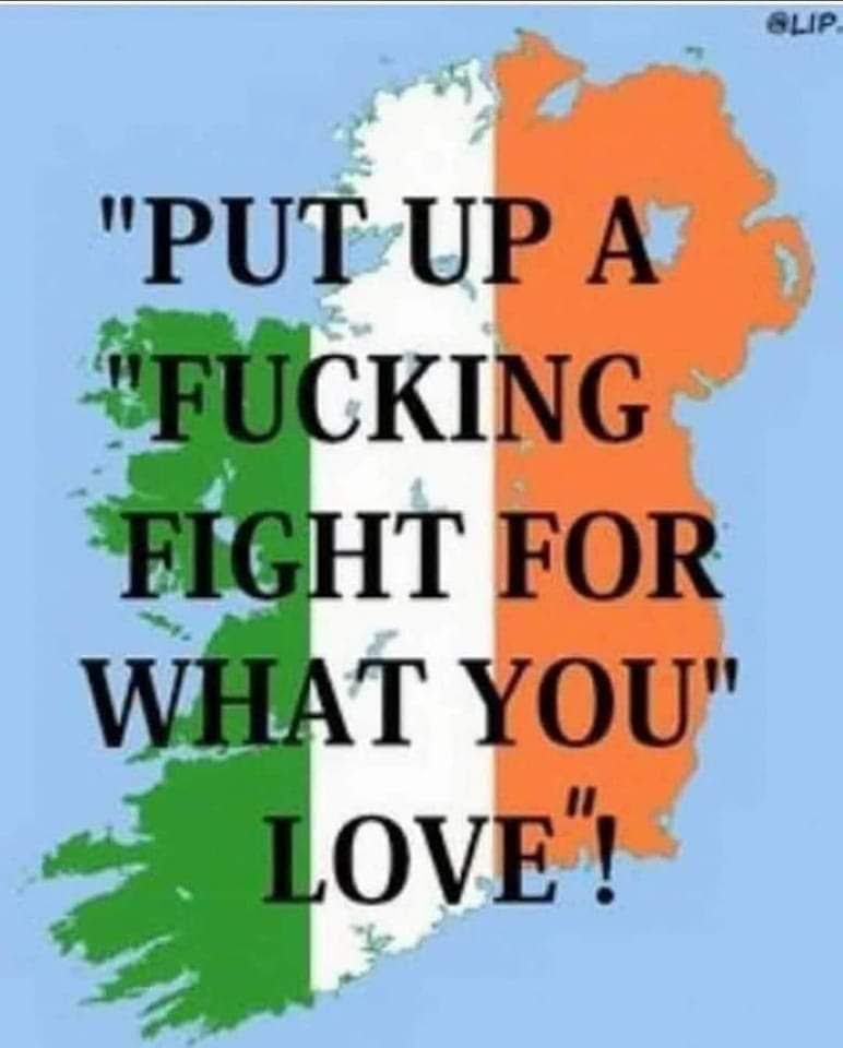 fearless fee tweet media