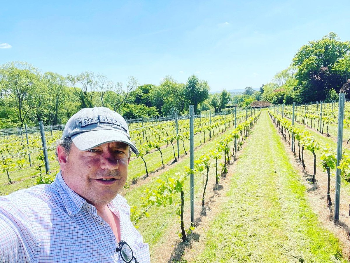 Out tending to the vines today and not a rain cloud in sight 🌞  #Wine #sussex #sussexwine #englishvineyard #englishwine #winelover #whitewine #rosé #pinotgris #pinotnoirrosé